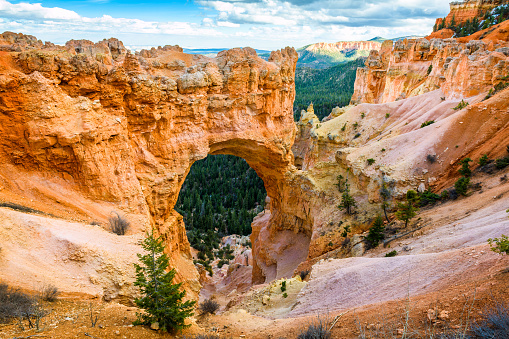 Bryce Canyon National Park, Utah, USA at the natural bridge.