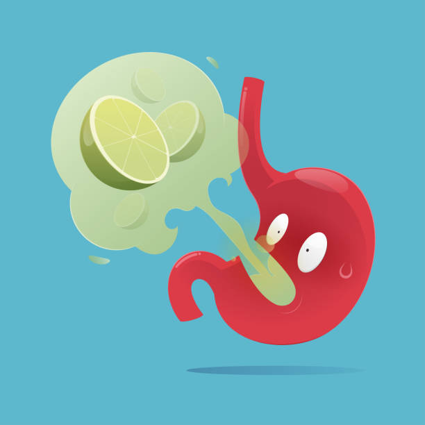 Vector illustration of the stomach with symptoms of burping, Gastroesophageal Reflux Disease