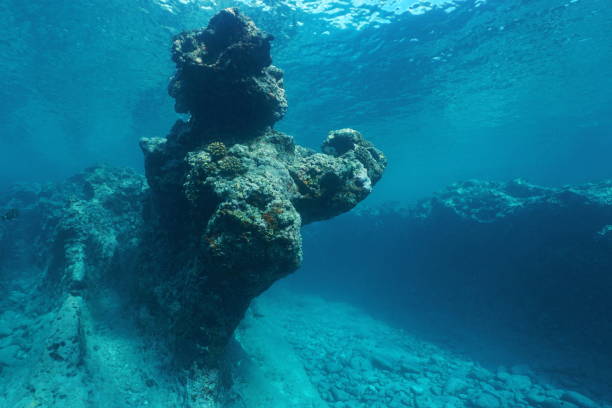 istock Pacific ocean natural rock formation underwater 1137038863
