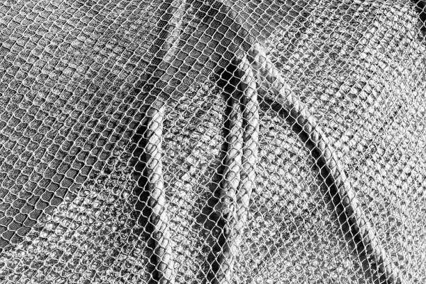 Detail of some nets for professional fishing