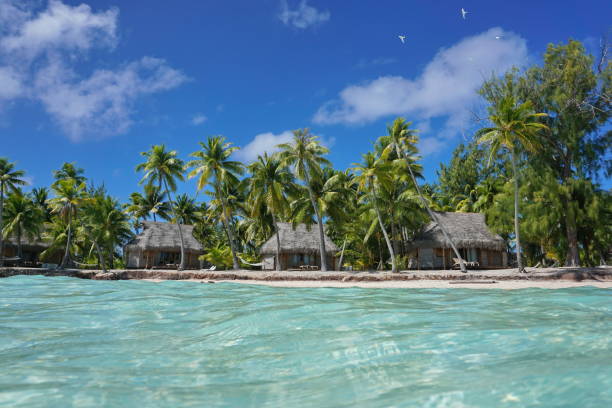 istock Tropical coastline bungalows and coconut trees Polynesia 1137039089