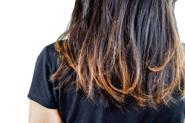 여자 손상 된 머리 분할 끝에 고립 된 흰색 배경 - human hair shampoo hair salon design 뉴스 사진 이미지