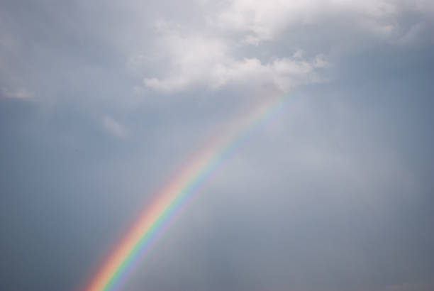 istock The Rainbow after the storm 1137040594