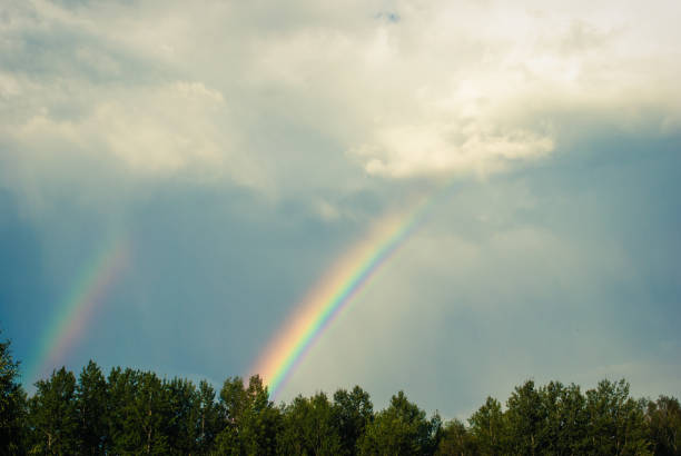 istock The Rainbow after the storm 1137040597
