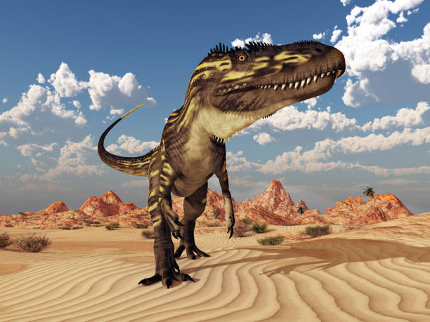 istock Dinosaur Torvosaurus in the desert 1137043178