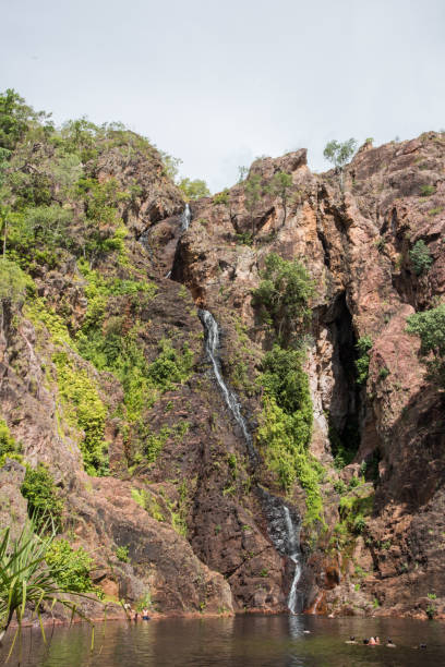 litchfield: wangi falls pływać - wangi falls zdjęcia i obrazy z banku zdjęć