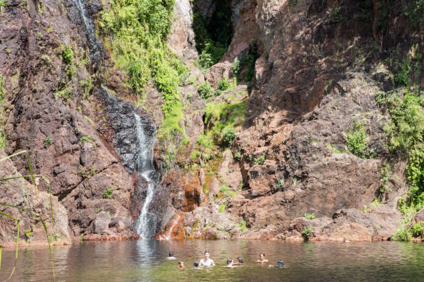 group swim at wangi falls - wangi falls imagens e fotografias de stock
