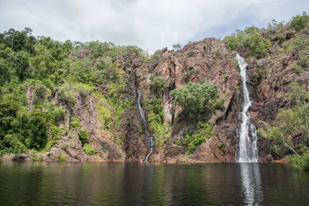 wangi falls swim - wangi falls imagens e fotografias de stock