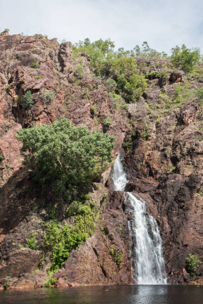 gotowy do skoku: wodospad wangi - wangi falls zdjęcia i obrazy z banku zdjęć