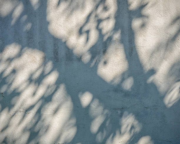 istock Close-up of cement wall with a shadow of a tree on its surface. 1137045634