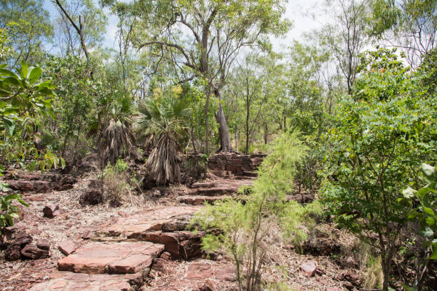Stone Steps and Trail Marker Stone steps and trail marker in the native bushland at Litchfield National Park in the Northern Territory of Australia bush land natural phenomenon environmental conservation stone stock pictures, royalty-free photos & images