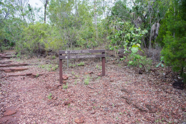 Plunge Pool Sign: Litchfield National Park Plunge Pool trail marker with stone steps and lush bushland at Litchfield National Park in the Northern Territory of Australia bush land natural phenomenon environmental conservation stone stock pictures, royalty-free photos & images