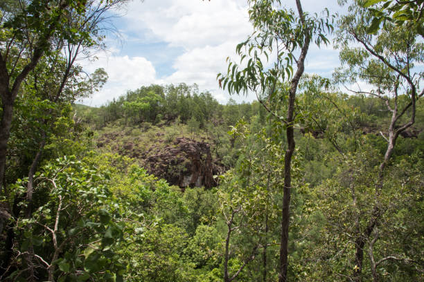 Litchfield Landscape Elevated view over the lush forest growth and rock face under a blue sky with clouds at Litchfield National Park in the Northern Territory of Australia bush land natural phenomenon environmental conservation stone stock pictures, royalty-free photos & images