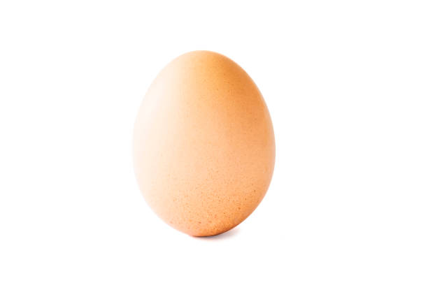 istock Isolated of chicken egg on white background.-Image. 1137048503