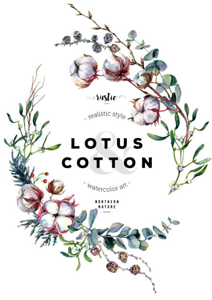 Watercolor Cotton Frame Watercolor Botanical Illustration. Floral Frame made of Cotton, Fern, Mistletoe, Silver eucalyptus Foliage. Boho Style Greeting Card. Vintage Wedding Decor.Scandinavian Nature Design Isolated on White winter cloth pictures stock illustrations