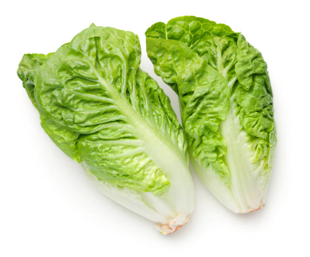 istock Romaine Lettuce Isolated On White Background 1137051658