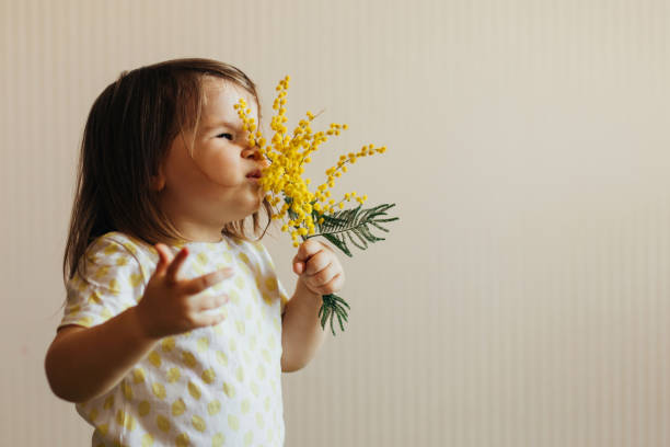 mädchen mit mimosenblume - facial expression unpleasant smell shirt caucasian stock-fotos und bilder