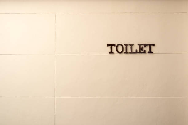 istock Toilet word made from rustic metal hanging on white wall 1137055586