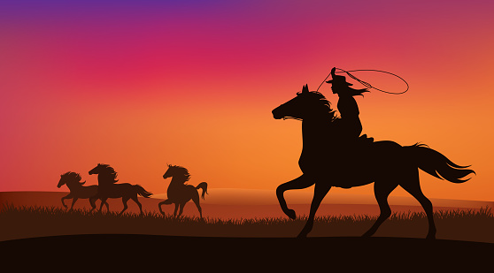 beautiful cowgirl chasing a herd of wild mustang horses at sunset - silhouette lanscape vector design