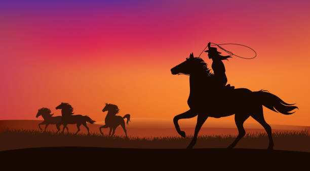 cowgirl and mustang horses herd vector scene beautiful cowgirl chasing a herd of wild mustang horses at sunset - silhouette lanscape vector design cowgirl stock illustrations