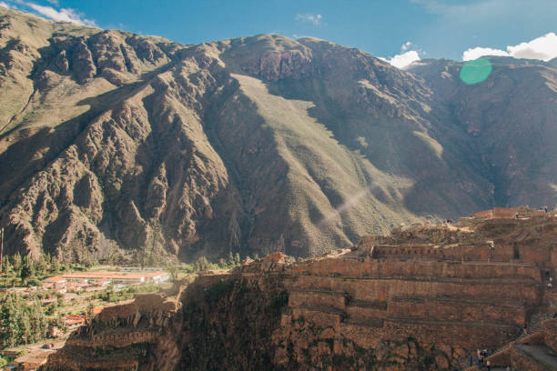istock Llamas and alpacas in Ollantaytambo 1137063583
