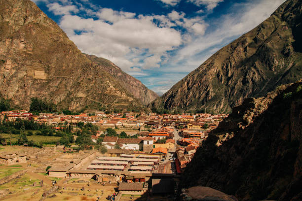 istock Llamas and alpacas in Ollantaytambo 1137063584
