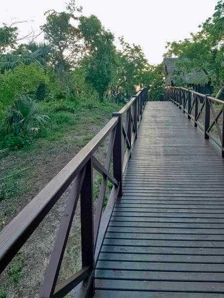 istock Wooden old bridge in Varadero, Cuba 1137063725