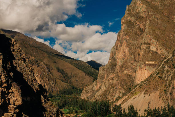 istock Llamas and alpacas in Ollantaytambo 1137063803