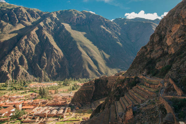 istock Llamas and alpacas in Ollantaytambo 1137063808