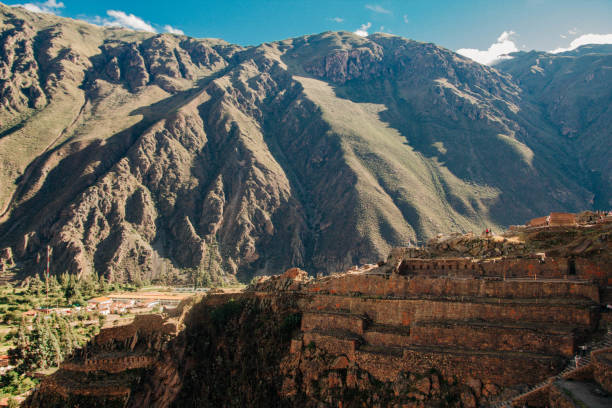 istock Llamas and alpacas in Ollantaytambo 1137063883