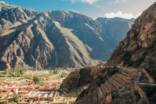 istock Llamas and alpacas in Ollantaytambo 1137064022