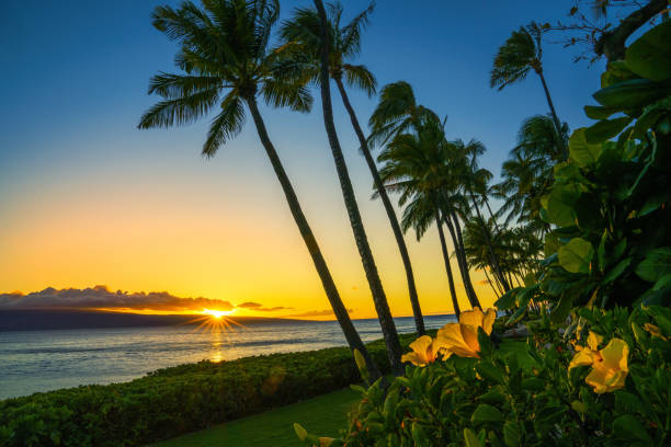 sonnenuntergang auf hawaii nahe resort - oahu water sand beach stock-fotos und bilder