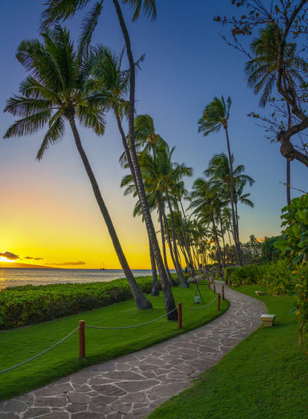 istock Sunset in Hawaii near resort 1137066663