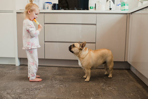 Malu Gets Eaten Out By A Dog 1,100+ Dog Eating A Girl Out Stock Photos, Pictures & Royalty-Free