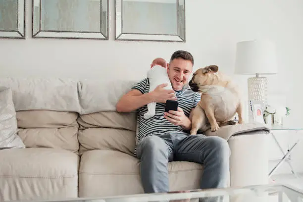 A father sitting on the sofa holding his baby over his shoulder while using his mobile phone. His French Bulldog pet is sat next to him on the arm of the sofa.