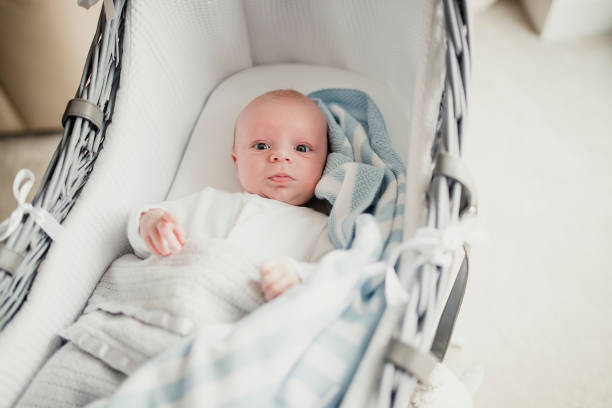 Cozy Baby Baby boy in a moses basket tucked up under a blanket looking at the camera. moses basket stock pictures, royalty-free photos & images