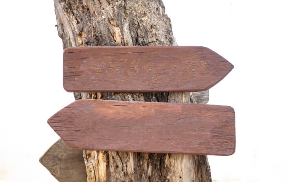 istock Opposite directions arrow signs. Two blank wooden pointers on a tree trunk, copy space 1137069555