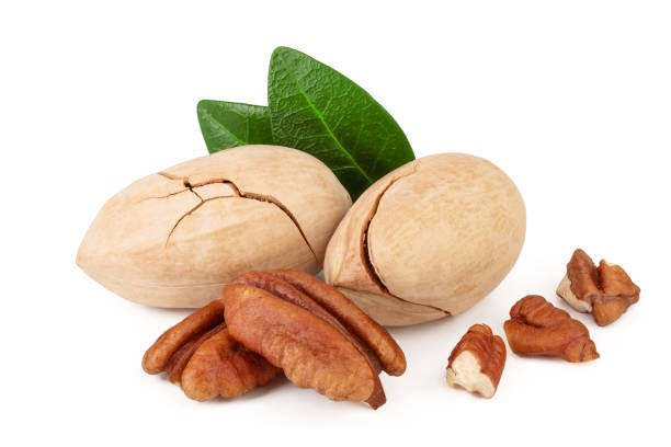 istock pecan nut with green leaves isolated on white background 1137070970