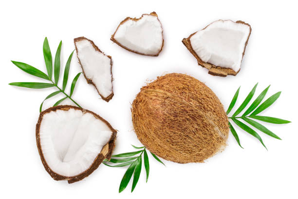 istock coconut with leaves isolated on white background. Top view. Flat lay 1137070995