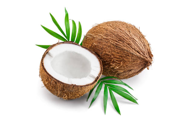istock coconut with leaves isolated on white background 1137071004