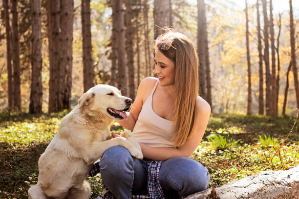 istock Woman with golden retriever in park 1137071061