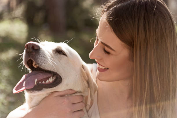 istock Woman with golden retriever 1137071069