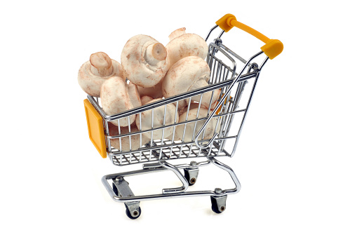 mushroom shopping cart on a white background