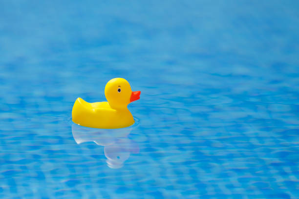 istock yellow rubber duck in blue swimming pool 1137077685