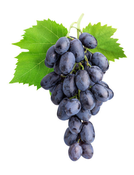istock Branch of grapes isolated on white background 1137077730