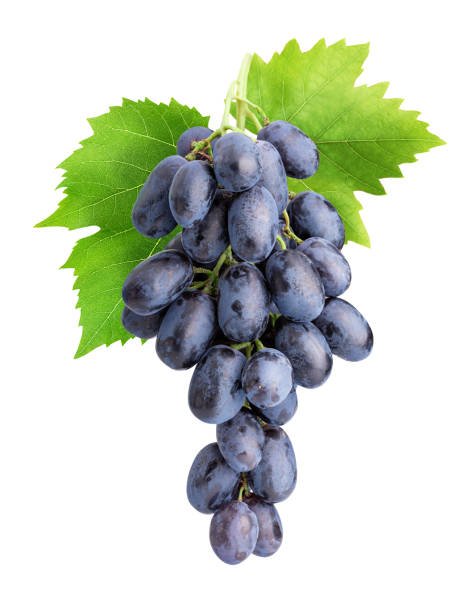 istock Branch of grapes isolated on white background 1137077733