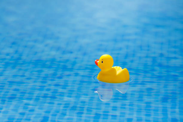 istock yellow rubber duck in blue swimming pool 1137077872