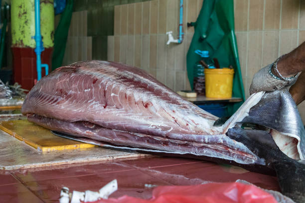 A male worker at the fish market in Male, Maldives, cutting a big tuna fish A male worker at the fish market in Male, Maldives, cutting a big tuna fish. maldives fish market photos stock pictures, royalty-free photos & images