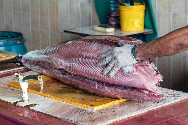 A male worker at the fish market in Male, Maldives, cutting a big tuna fish A male worker at the fish market in Male, Maldives, cutting a big tuna fish. maldives fish market photos stock pictures, royalty-free photos & images