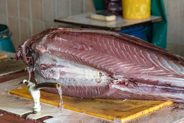 A raw big tuna on the cutting table of the fish market in Male, Maldives A row big tuna on the cutting table of the fish market in Male, Maldives. maldives fish market photos stock pictures, royalty-free photos & images